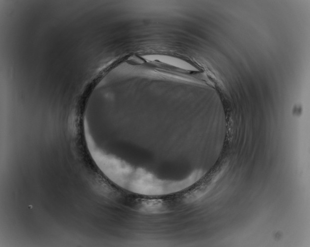 X0000102510355200809051416