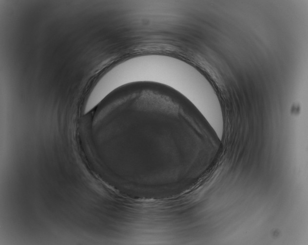X0000102510356200809051416