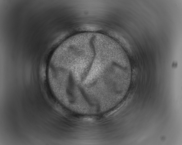 X0000102510358200809051416