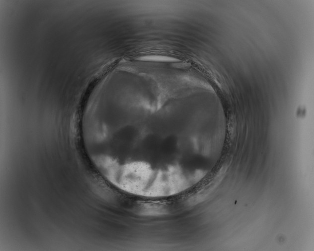 X0000102510359200809051416
