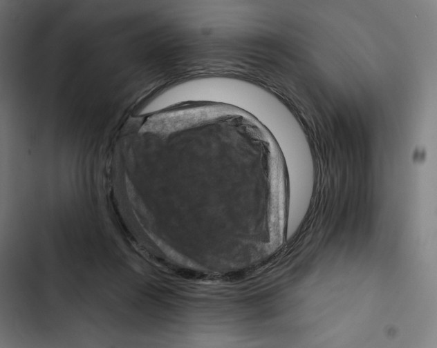 X0000102510360200809051416