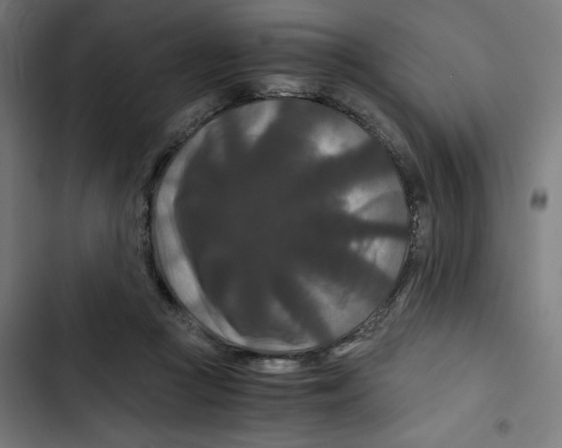 X0000102510361200809051416