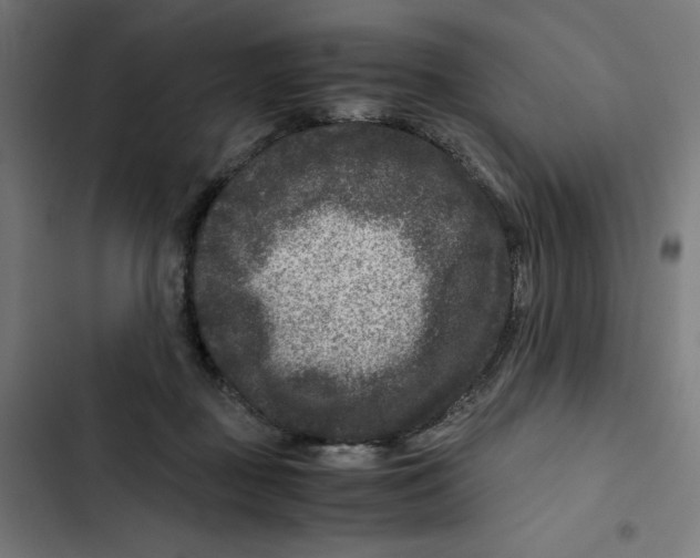 X0000102510363200809051416