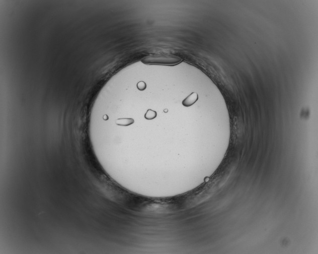 X0000102510364200809051416