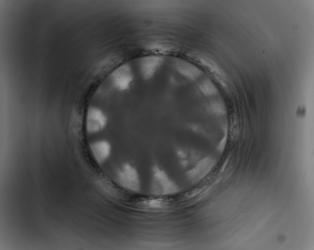 X0000102510365200809051416