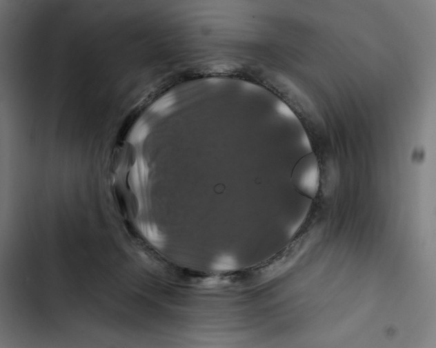 X0000102510366200809051416