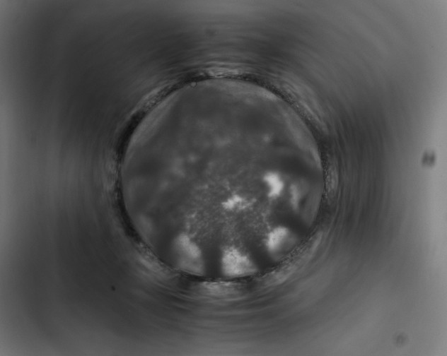 X0000102510367200809051416