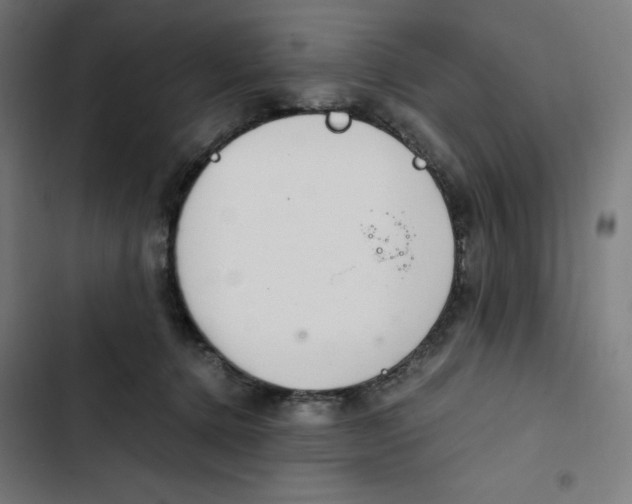 X0000102510368200809051416