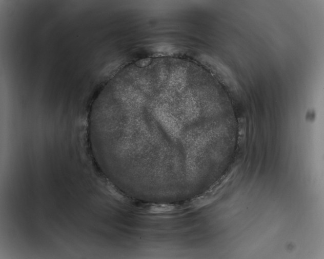 X0000102510369200809051416