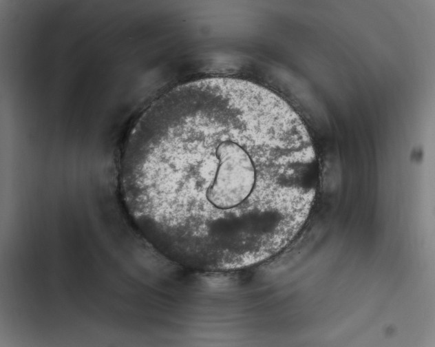 X0000102510370200809051416