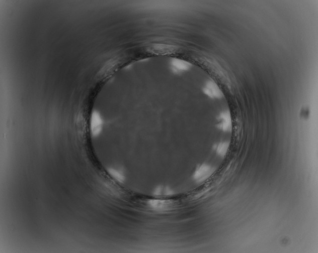 X0000102510371200809051416