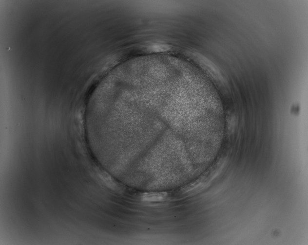 X0000102510373200809051416