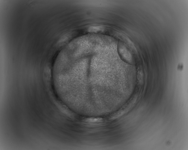 X0000102510375200809051416