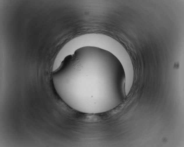 X0000102510376200809051416