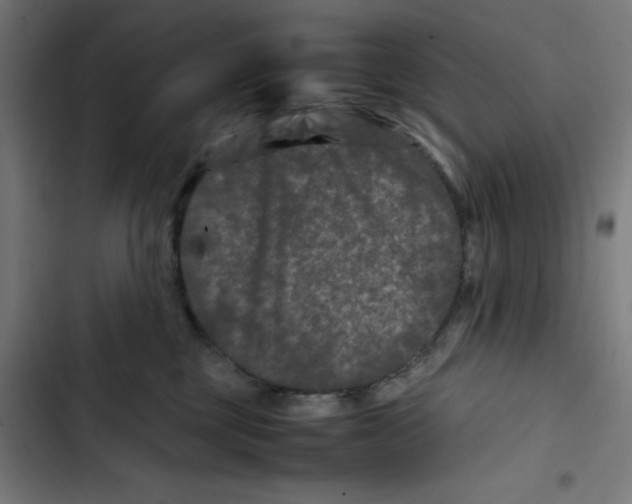 X0000102510377200809051416