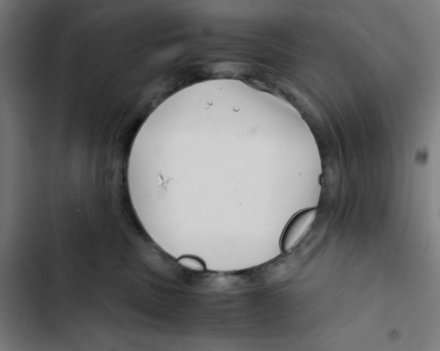 X0000102510379200809051416