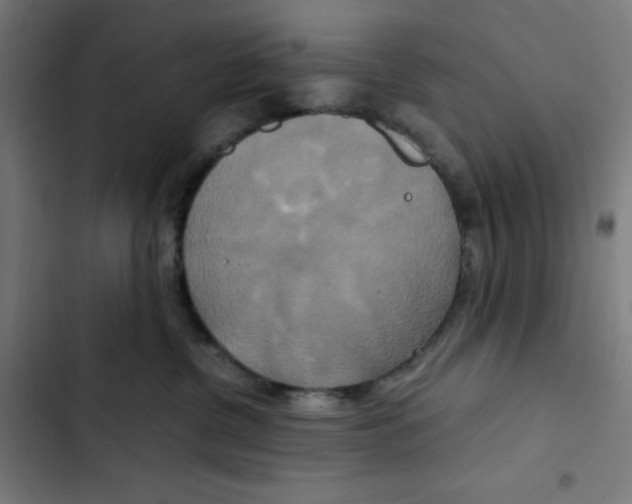 X0000102510380200809051416