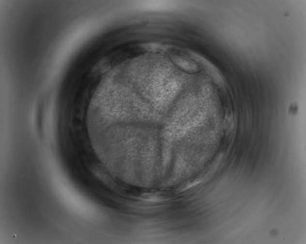 X0000102510381200809051416