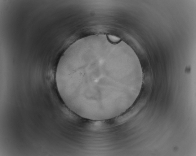 X0000102510382200809051416