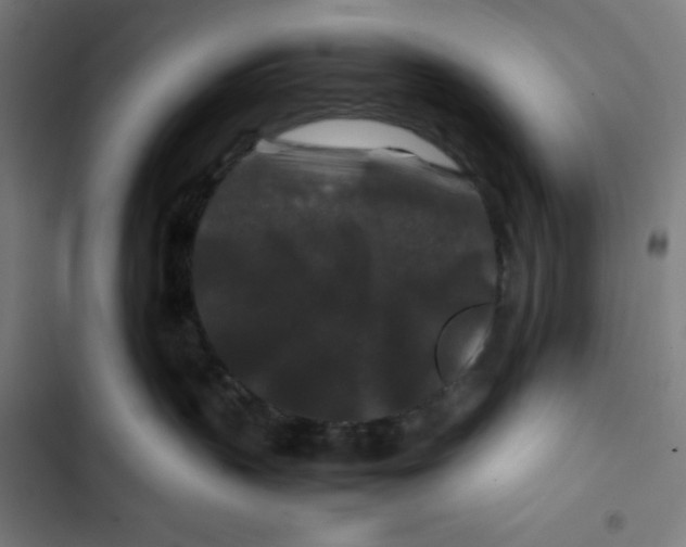 X0000102510383200809051416