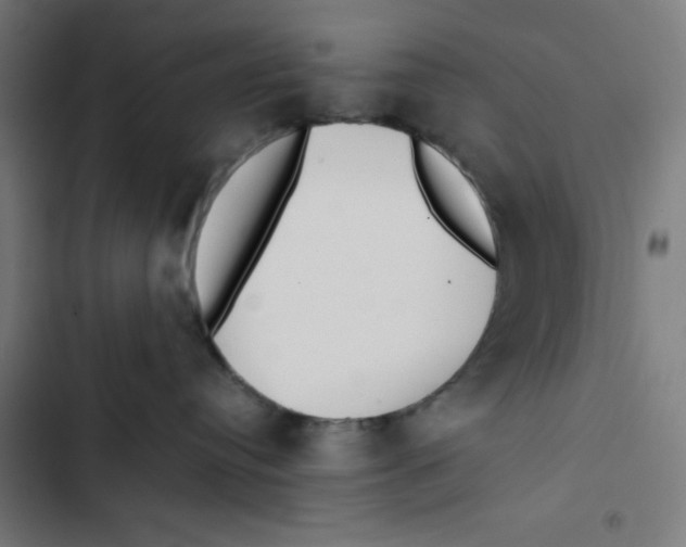 X0000102510384200809051416