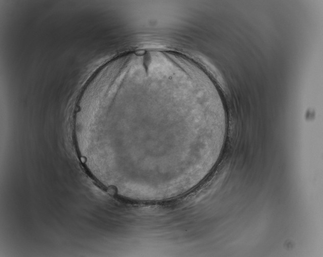 X0000102510385200809051415