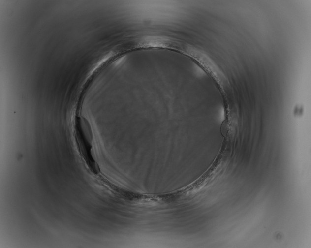 X0000102510386200809051415