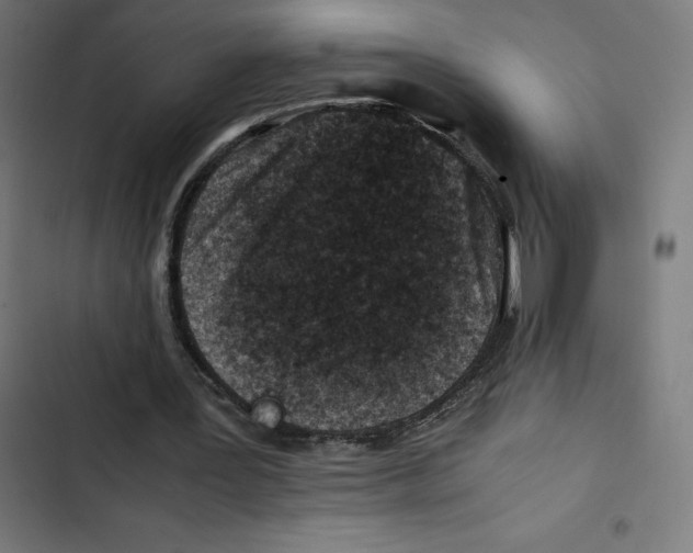 X0000102510387200809051415