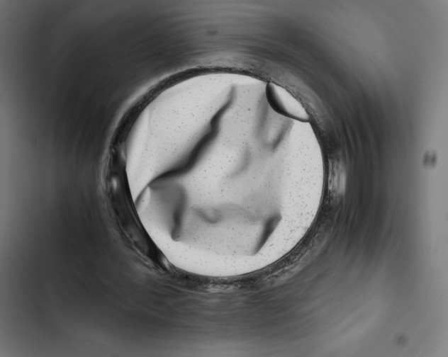 X0000102510388200809051415