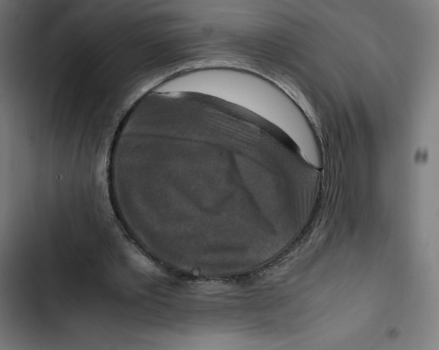 X0000102510389200809051415
