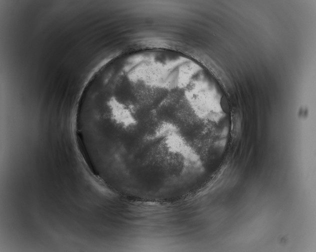 X0000102510390200809051415