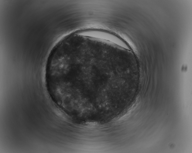 X0000102510391200809051415