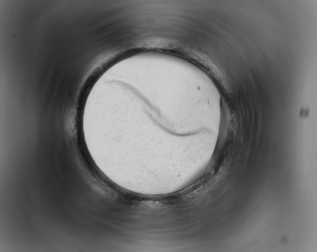X0000102510392200809051415