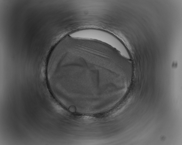 X0000102510393200809051415