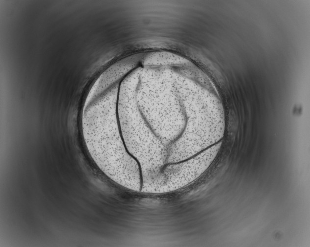 X0000102510394200809051415