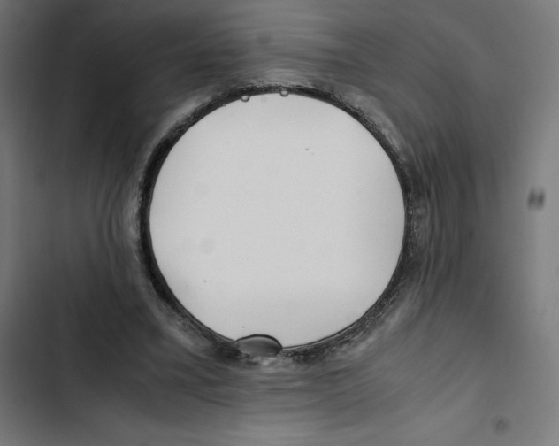 X0000102510395200809051415