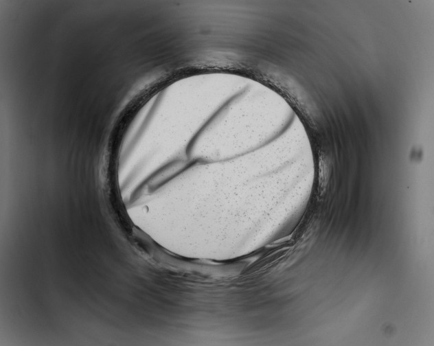 X0000102510396200809051415