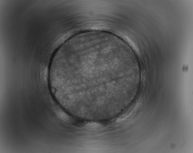 X0000102510397200809051415