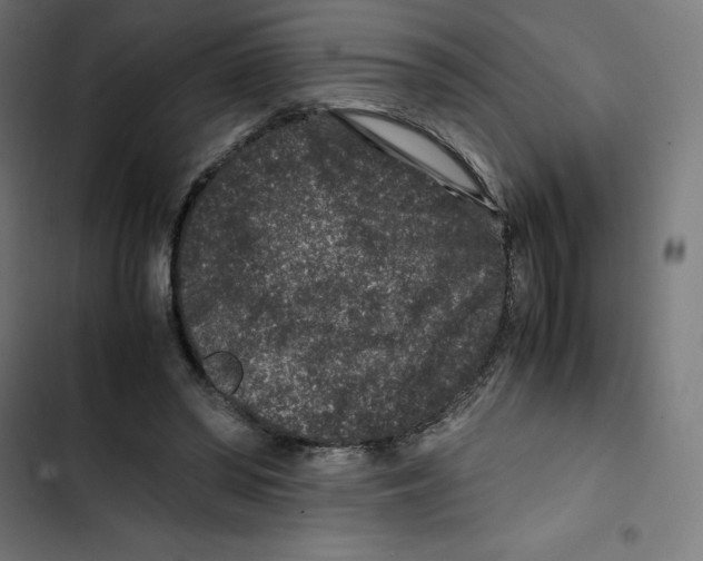 X0000102510398200809051415