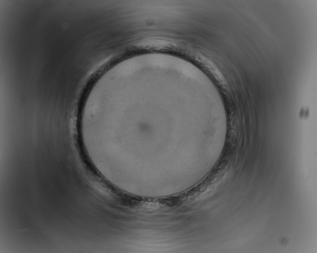 X0000102510399200809051415