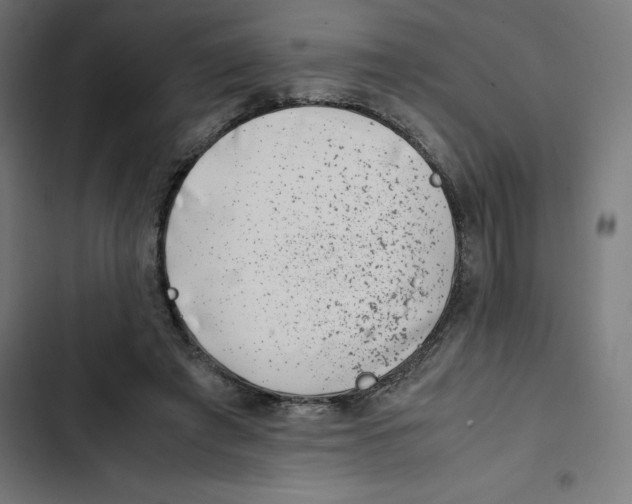 X0000102510401200809051415