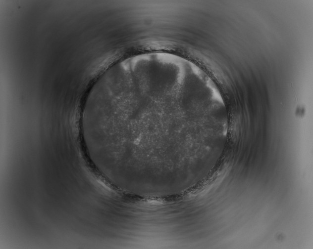 X0000102510402200809051415