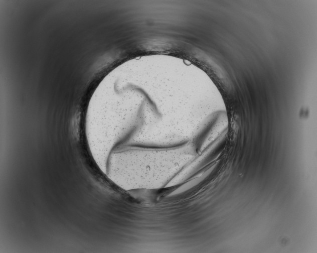 X0000102510404200809051415