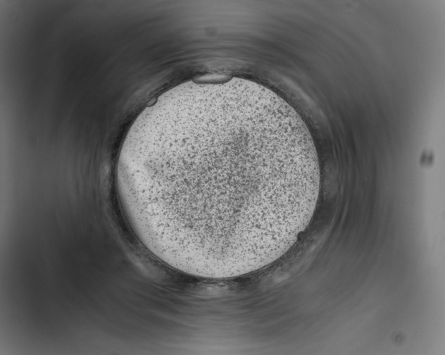 X0000102510405200809051415