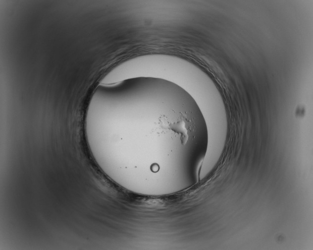 X0000102510409200809051415