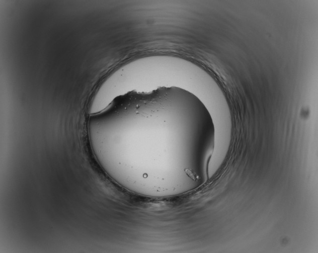 X0000102510411200809051415