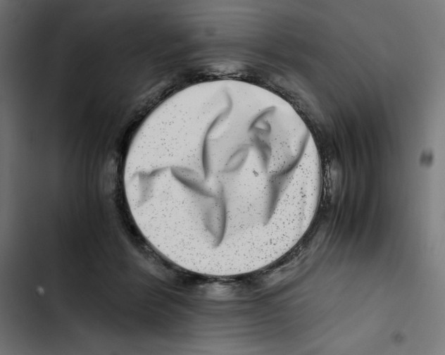 X0000102510412200809051415