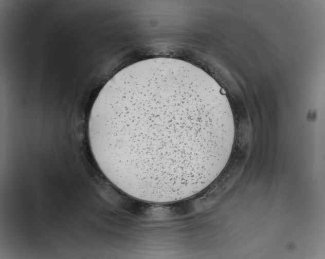 X0000102510413200809051415