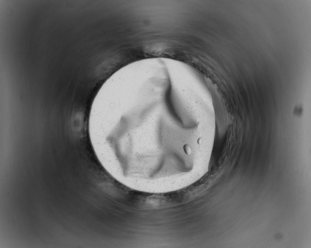 X0000102510420200809051415