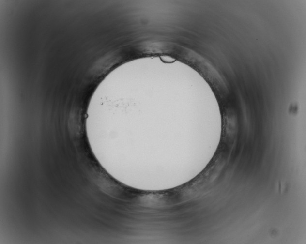 X0000102510422200809051415